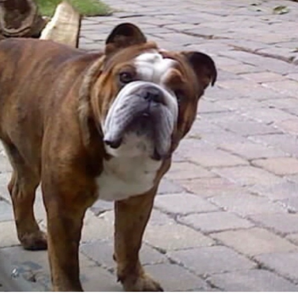 UNLISTED FREE PEOPLE, ANTRO, URBAN OUTFITTERS LIVE LISTING